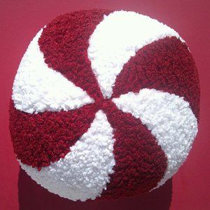 Pottery Barn Cozy Teddy Peppermint Pillow 12”x 16” Faux Fur New